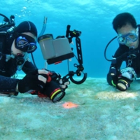 sdsc_0010.jpg