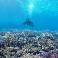 simg_0306.jpg