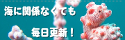 sign3.png