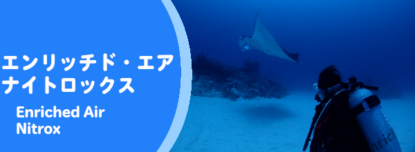 スペシャルティ講習