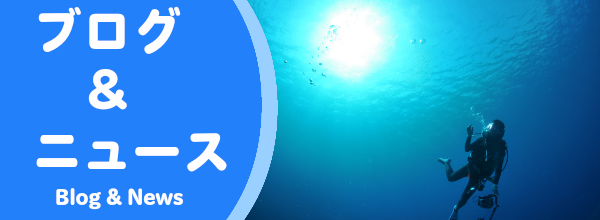 ブログ＆ニュース